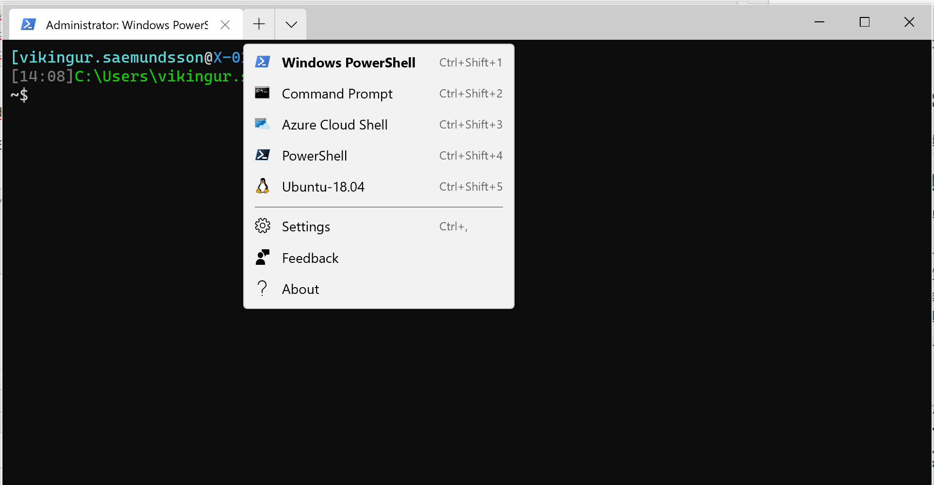 Windows Terminal Linux